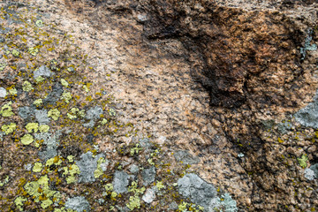Stone texture - details; background and texture image