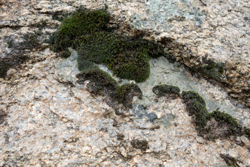 Stone texture - details; background and texture image