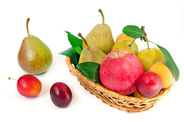 Wooden wicker basket with whole ripe fruits - pears, plums, apricots and apples on a white background.Top view