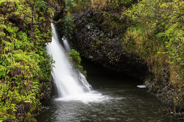 Fototapeta na wymiar The Scenic Beauty of the Hawaiian Islands - Maui