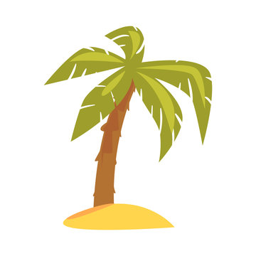 Green tropical palm cartoon vector Illustration