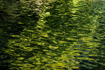 Grünes Wassermuster