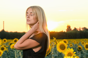 portrait beautiful young blonde model in black dress on a field of sunflowers