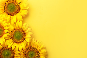 Obraz premium Sunflowers on a yellow background. Copy space. Top view