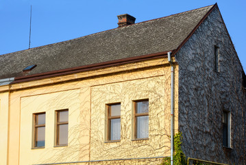 Old Shingles Roof with Windows and Rain Gutter. House with chimney and wall with greenery Parthenocissus
