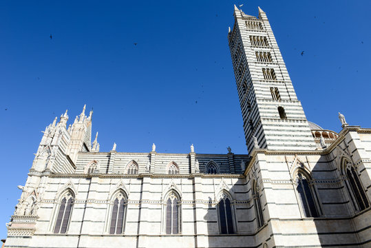 The cathedral at Siena