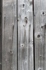 Naklejka premium KnotholesAnd Nails