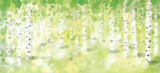 Naklejka premium Vector birches forest, bokeh background.
