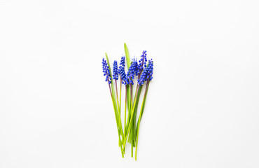 Beautiful composition - blue muscari lie on a white table.