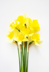 Yellow bouquet of daffodils lying on white table.