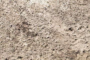 Seamless abstract backgroun. The cellular texture of the concrete.