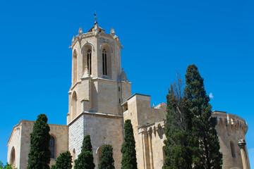 Fototapeta na wymiar the cathedral in tarragona