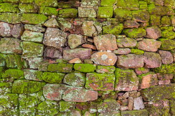 Wonder wall moss on old stone