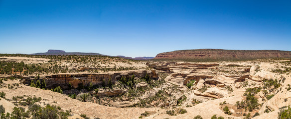 Natural Bridges National Monument