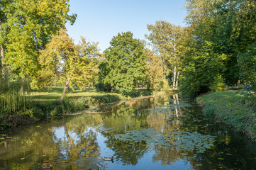 Fototapeta na wymiar Ducks swimming in a small river in Alexandria park in Belaya Tserkov, Ukraine. Shot on a summer sunny cloudless day. Pond surround by trees. Golden setting sun lighting the trees near the river.