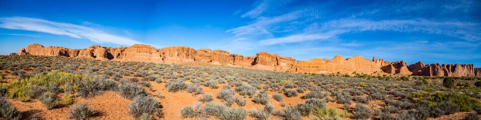 Petrified Dunes Arches National Park