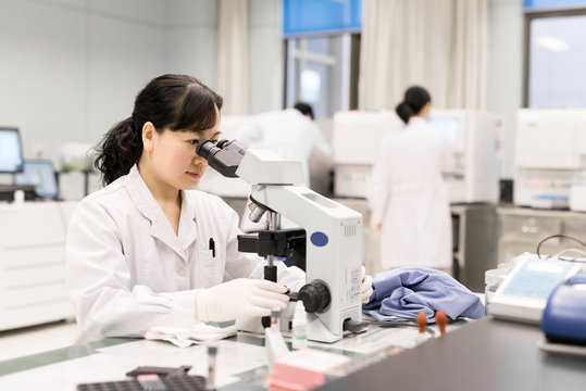 Scientists using equipments in lab