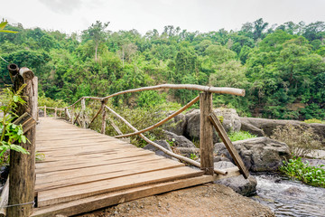 Fototapeta na wymiar The small wood bridge in the forest
