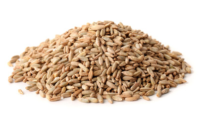 Pile of rye grains