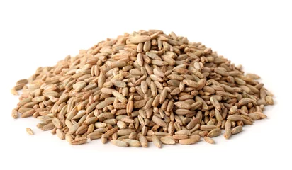 Poster Im Rahmen Pile of rye grains © Coprid