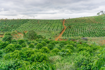 Red road to hill