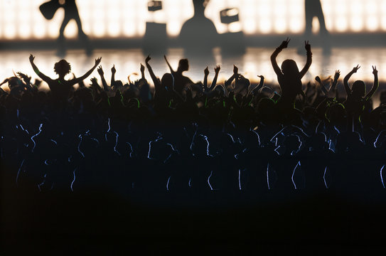 Audience having fun at a music concert