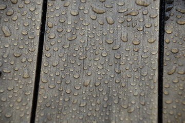 Raindrops on Wood