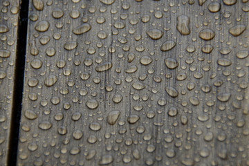 Raindrops on Wood