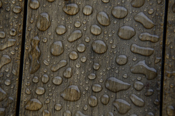 Raindrops on Wood