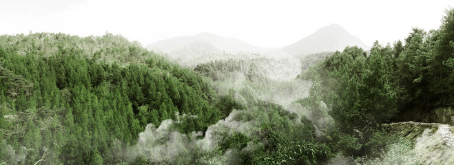 Obrazy na Szkle  Mglisty górski krajobraz leśny pokryty mgłą w Indonezji