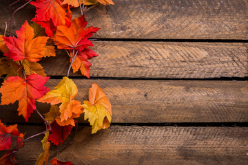 Bunte Herbstblätter