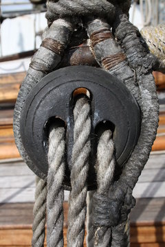 Tuigage Bilder Durchsuchen 2 Archivfotos, und Videos