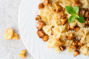 Farfalle pasta with chanterelles and basil on gray stone background