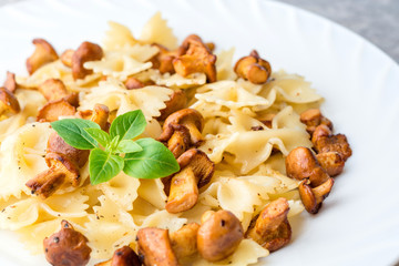 Farfalle pasta with chanterelles and basil on gray stone background