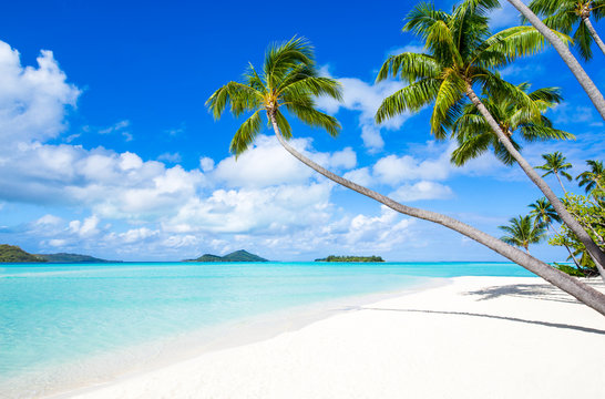 Sommer, Sand und Strand auf einer tropischen Insel