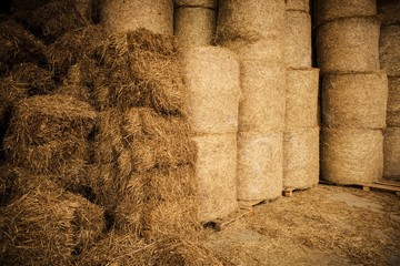 Farm Hay Storage Facility © Tomasz Zajda