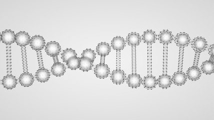 DNA molecule back