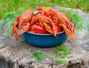 crawfish on old wooden stump in the street