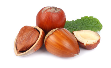 hazelnuts with green leaf isolated on white background