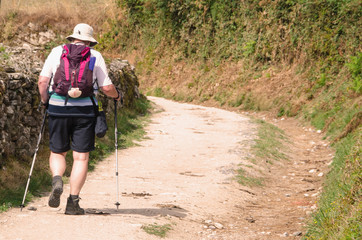 Alone pilgrim wearing a hat and typical pilgrim scallop in Camino de Santiago