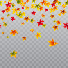 Vector seamless horizontal border with falling maple leaves. Autumn decoration for banners and flyers season design. Isolated on the transparent background.