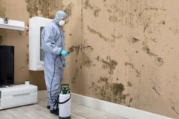 Pest Control Worker Spraying Pesticide On Wall