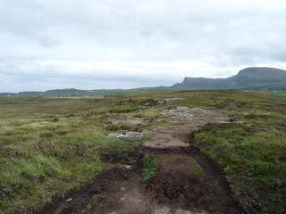 boggy path