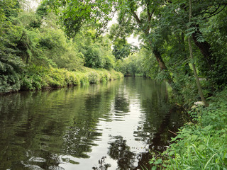  summer countryside,Northern Ireland