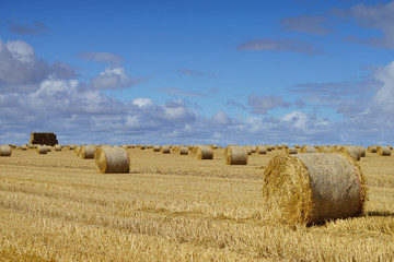 Fototapeta premium Paysage de Campagne 209