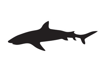 black shark silhouette- vector illustration
