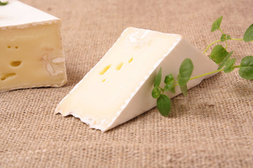 fabric cloth background with pieces of soft cheese