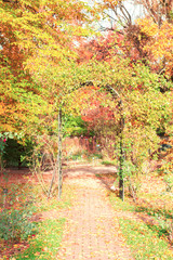 Fall park path with green and yellow trees and fallen leaves, retro toned