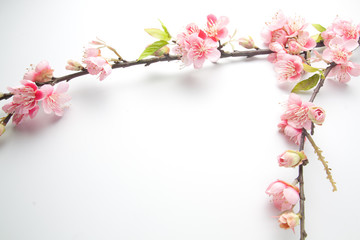 Fototapeta na wymiar Fake sakura blossom on white