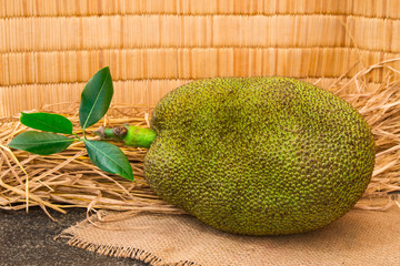 Fresh ripe jackfruit. Sweet jackfruit ready for eat. Exotic tropical fruit. For gourmet. Selective...